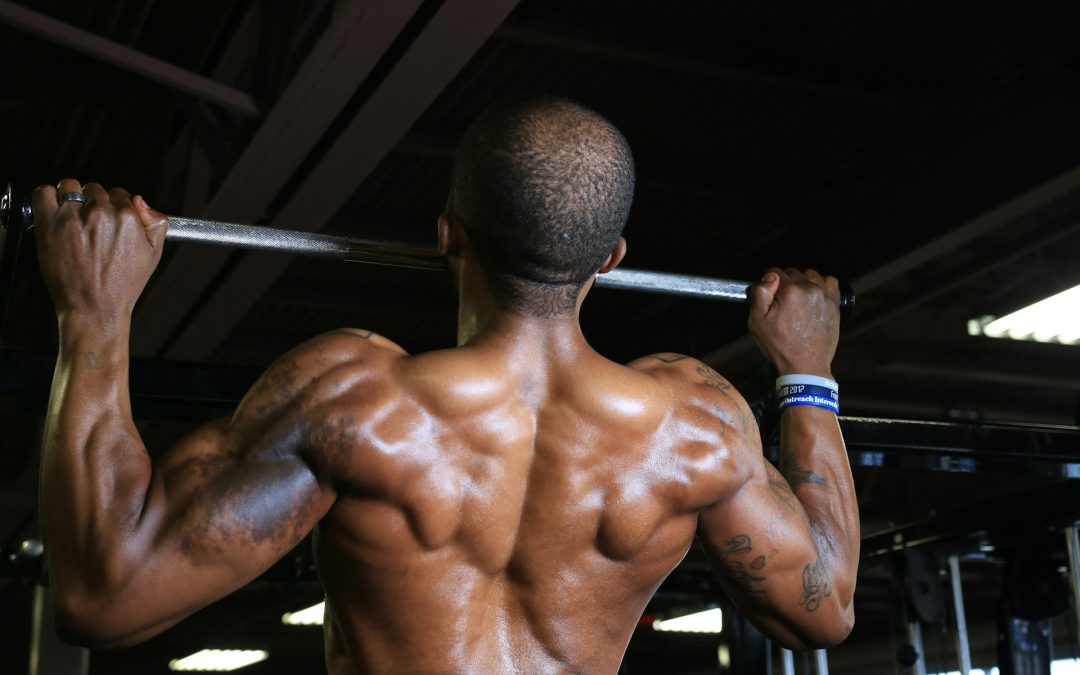 Hur fungerar ryggens muskler?